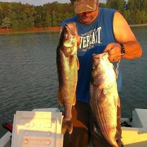 Meet your Posher, Hal